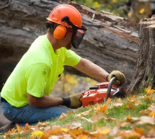 tree services Kennedyville